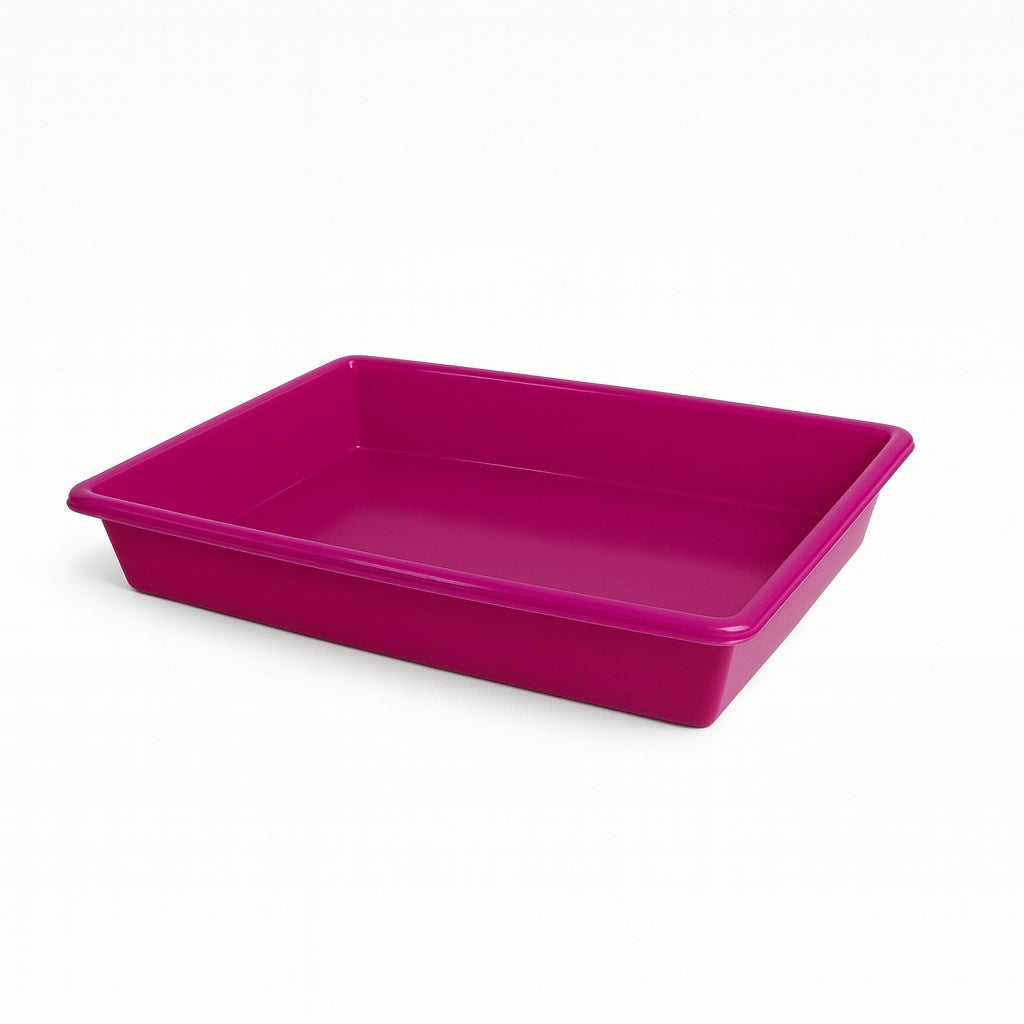 Charola Organizadora #2